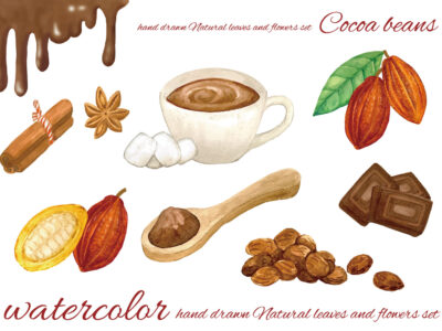 チョコレートと健康