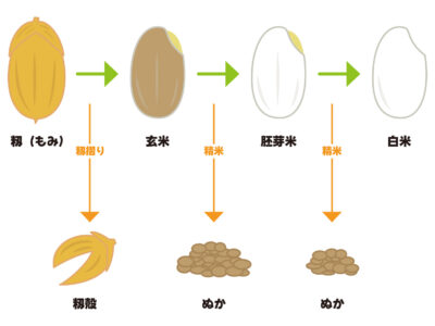 健康に良い食品とは？／③茶色い炭水化物